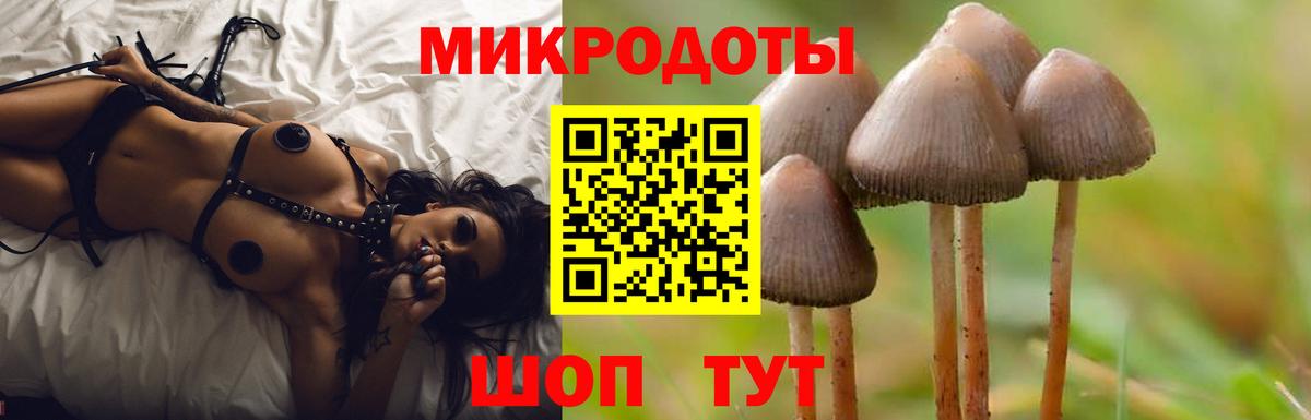 Галлюциногенные грибы Psilocybine cubensis Ртищево